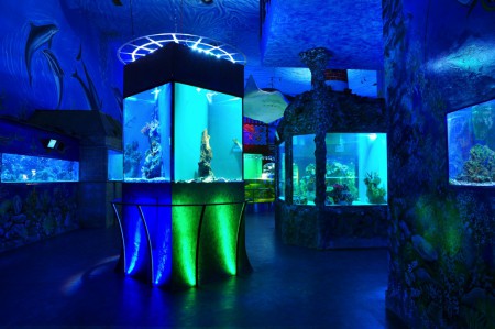 zoo-morsky-svet-nejvetsi-morske-akvarium-v-cr
